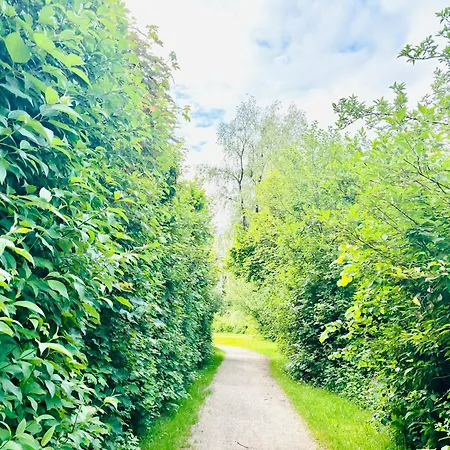 Stella's Holzchalet シャレー