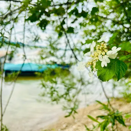 Stella's Holzchalet シャレー *