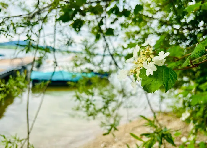 Stella's Holzchalet Chalet *